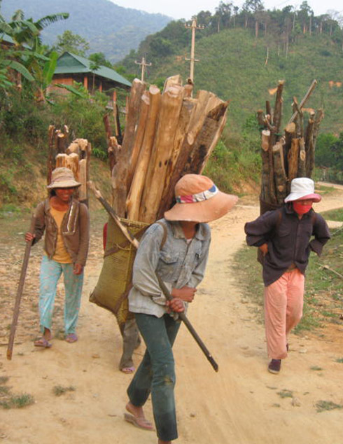 Sơn nữ muốn cưới được chồng phải mất nhiều năm kiếm củi về làm lễ vật. Ảnh: Tùy Phong.